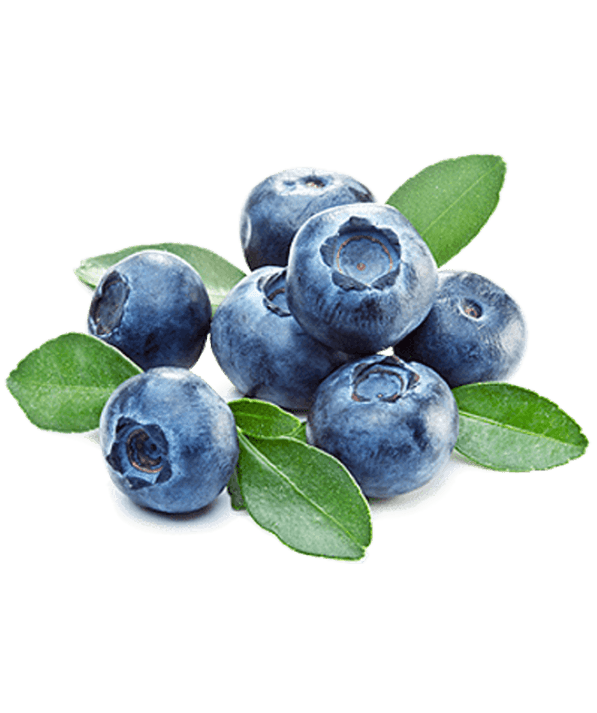 Blueberry-berryfamily