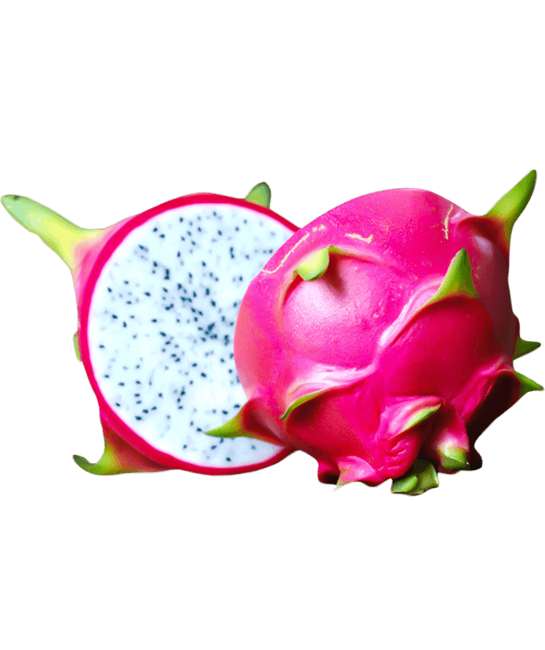 dragon_fruit_berryfamily_دراگون_فروت (2)